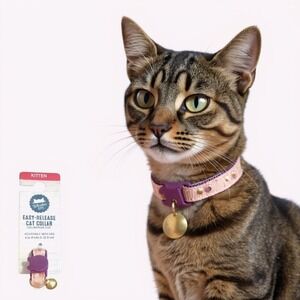 Whisker City Kitten Cat Collar with Bell – Easy Release, Adjustable 6–9", Pink